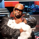 Image for article titled Rappers And Cats: A Complete History